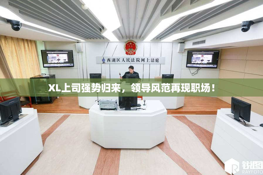 XL上司强势归来，领导风范再现职场！