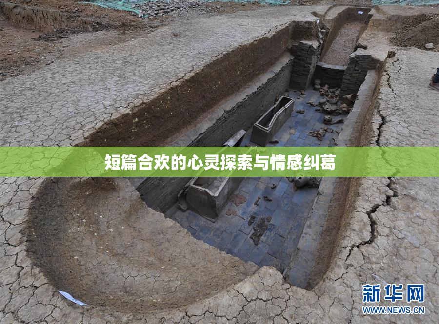 短篇合欢的心灵探索与情感纠葛