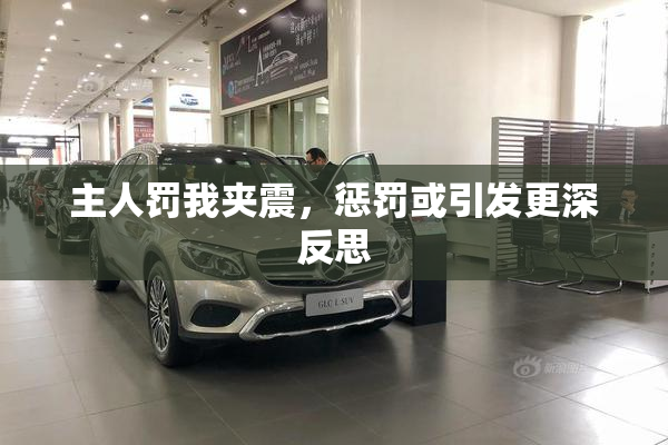 主人罚我夹震，惩罚或引发更深反思