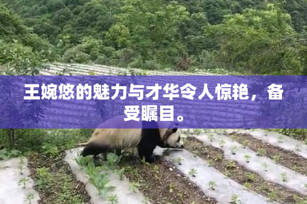 王婉悠的魅力与才华令人惊艳，备受瞩目。