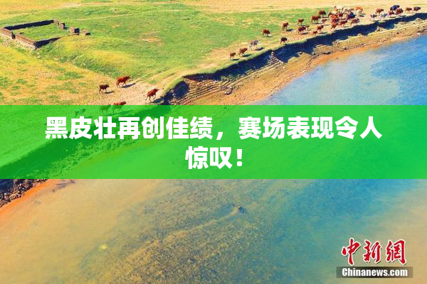 黑皮壮再创佳绩，赛场表现令人惊叹！
