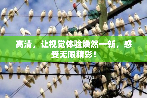 高清，让视觉体验焕然一新，感受无限精彩！