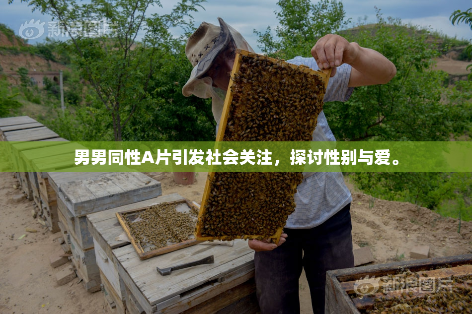 男男同性A片引发社会关注，探讨性别与爱。