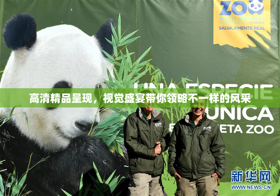 高清精品呈现，视觉盛宴带你领略不一样的风采