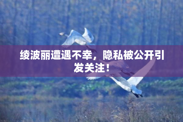 绫波丽遭遇不幸，隐私被公开引发关注！