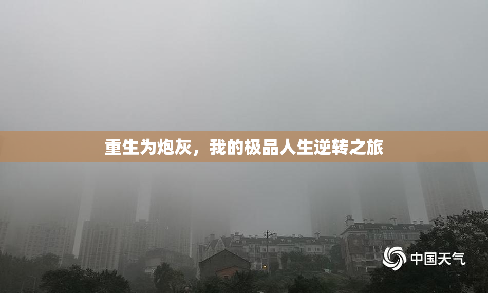 重生为炮灰，我的极品人生逆转之旅