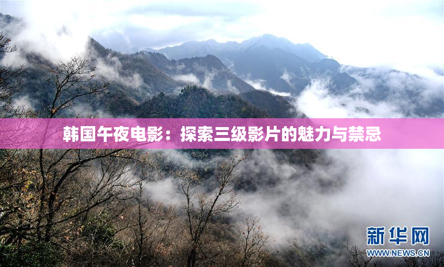 韩国午夜电影：探索三级影片的魅力与禁忌