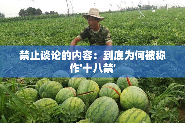禁止谈论的内容：到底为何被称作'十八禁'