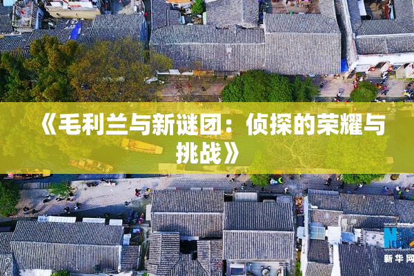 《毛利兰与新谜团：侦探的荣耀与挑战》