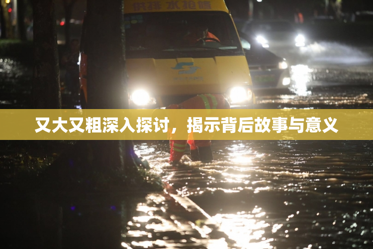 又大又粗深入探讨，揭示背后故事与意义