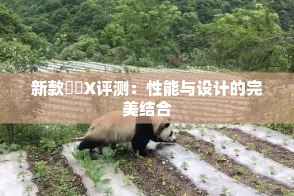 新款國產X评测：性能与设计的完美结合