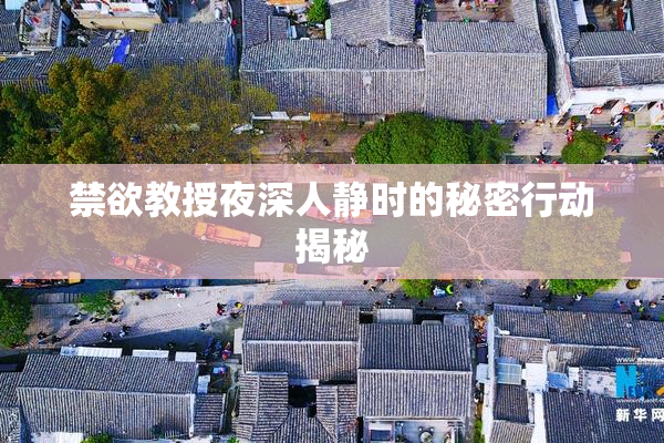 禁欲教授夜深人静时的秘密行动揭秘