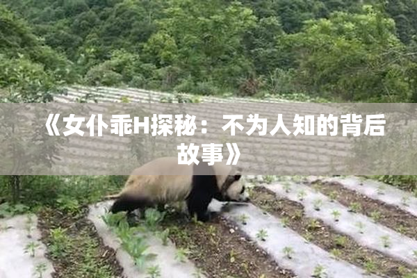 《女仆乖H探秘：不为人知的背后故事》