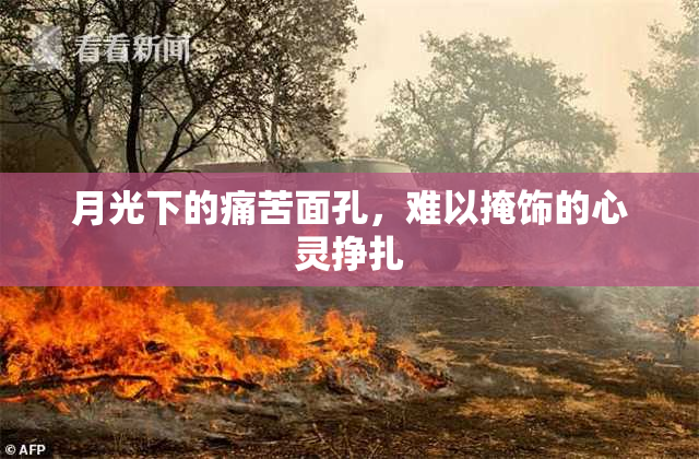 月光下的痛苦面孔，难以掩饰的心灵挣扎