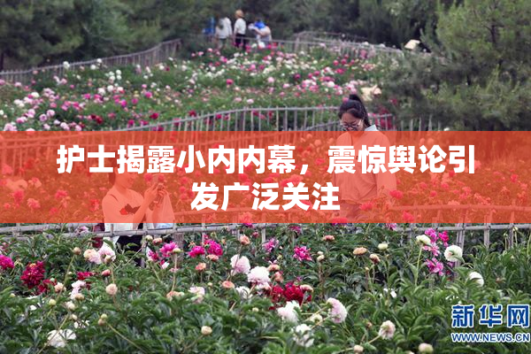 护士揭露小内内幕，震惊舆论引发广泛关注
