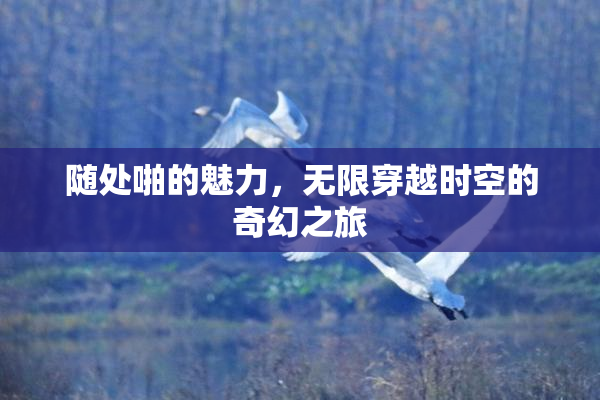 随处啪的魅力，无限穿越时空的奇幻之旅