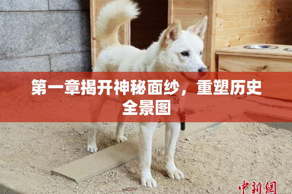 第一章揭开神秘面纱，重塑历史全景图