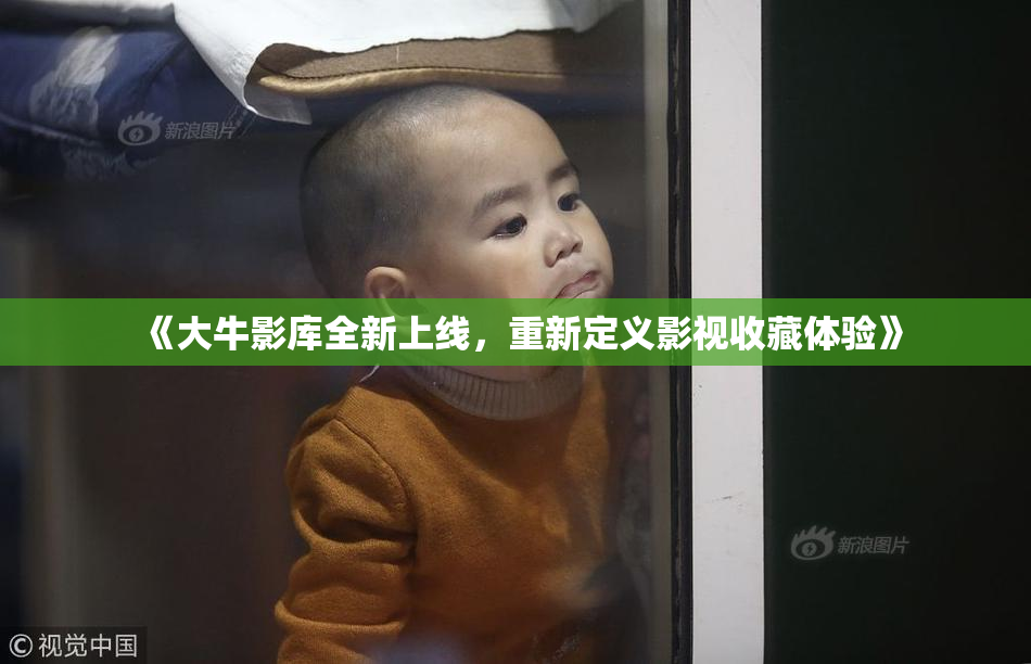 《大牛影库全新上线，重新定义影视收藏体验》