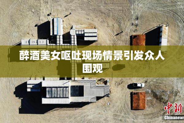醉酒美女呕吐现场情景引发众人围观