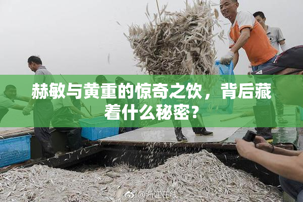 赫敏与黄重的惊奇之饮，背后藏着什么秘密？