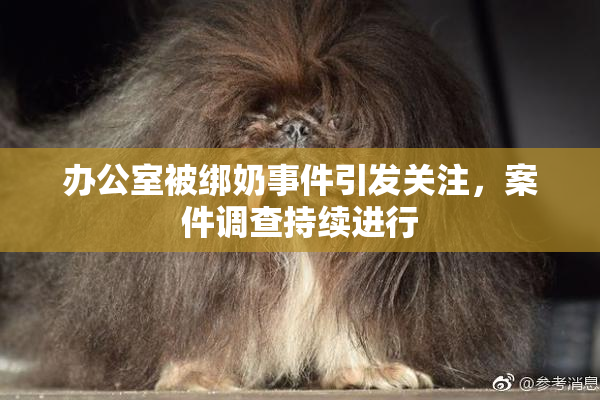 办公室被绑奶事件引发关注，案件调查持续进行
