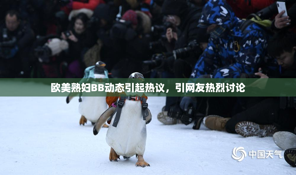 欧美熟妇BB动态引起热议，引网友热烈讨论
