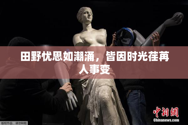 田野忧思如潮涌，皆因时光荏苒人事变