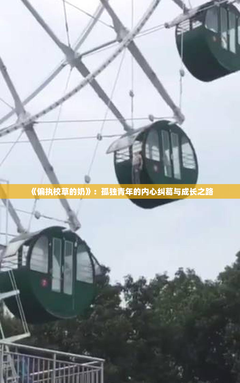 《偏执校草的奶》：孤独青年的内心纠葛与成长之路