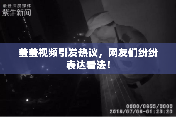 羞羞视频引发热议，网友们纷纷表达看法！
