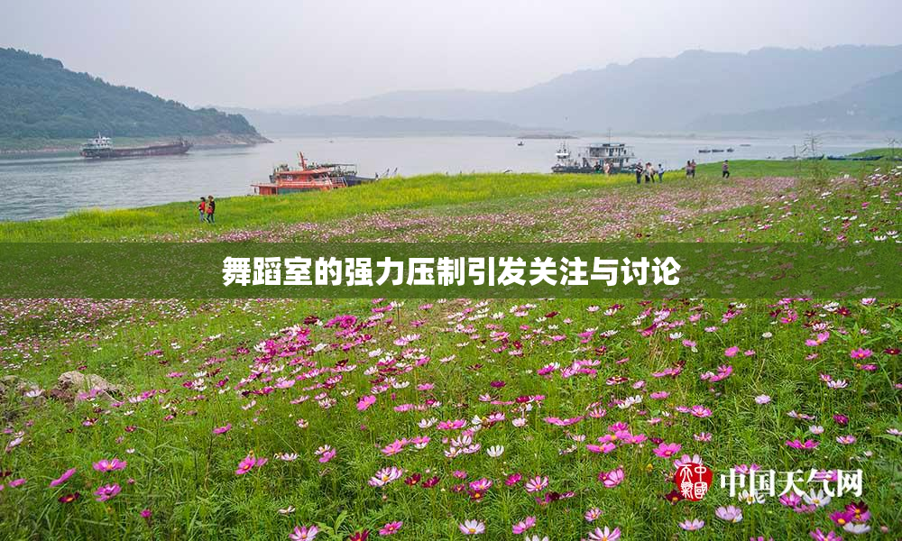 舞蹈室的强力压制引发关注与讨论