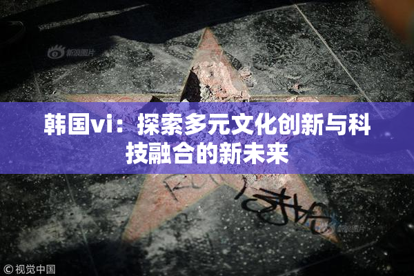 韩国vi：探索多元文化创新与科技融合的新未来