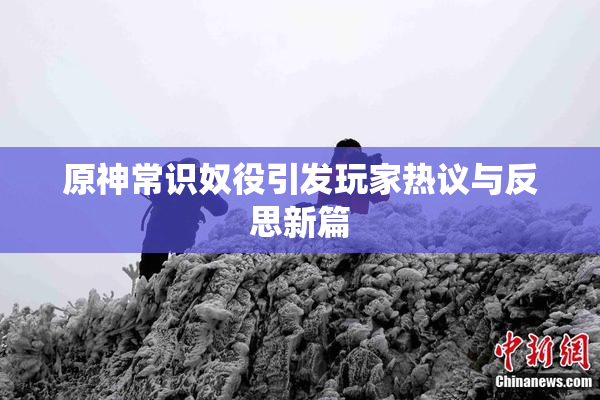原神常识奴役引发玩家热议与反思新篇