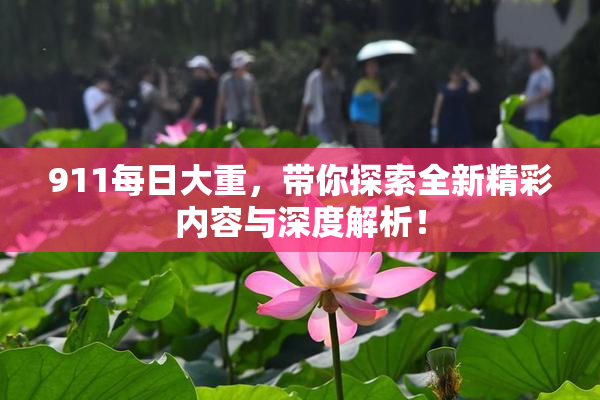 911每日大重，带你探索全新精彩内容与深度解析！