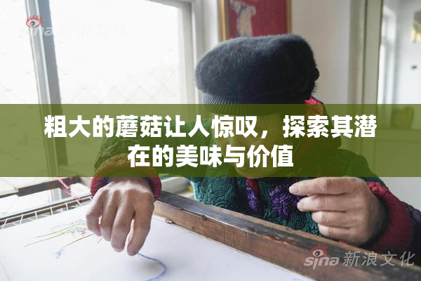 粗大的蘑菇让人惊叹，探索其潜在的美味与价值
