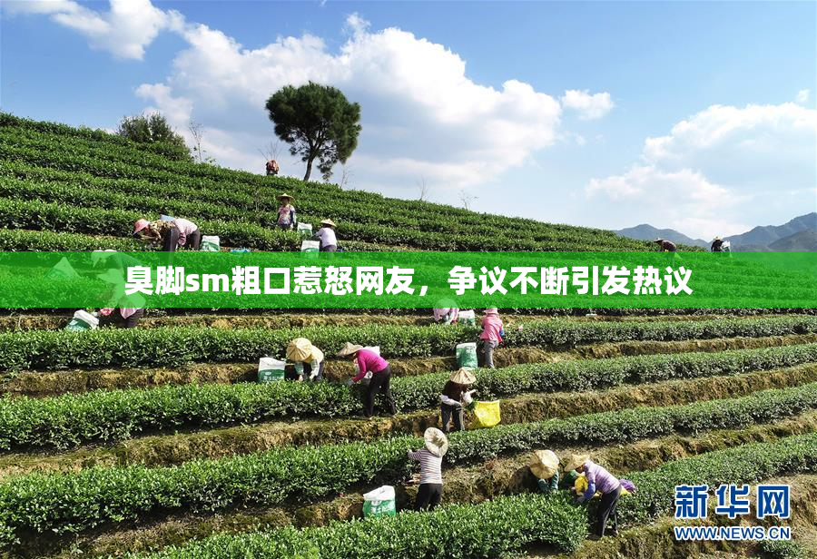 臭脚sm粗口惹怒网友，争议不断引发热议