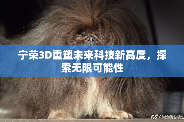 宁荣3D重塑未来科技新高度，探索无限可能性