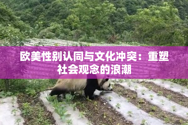 欧美性别认同与文化冲突：重塑社会观念的浪潮