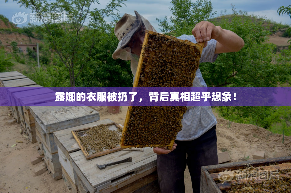 露娜的衣服被扔了，背后真相超乎想象！