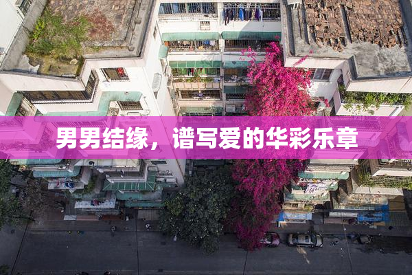男男结缘，谱写爱的华彩乐章