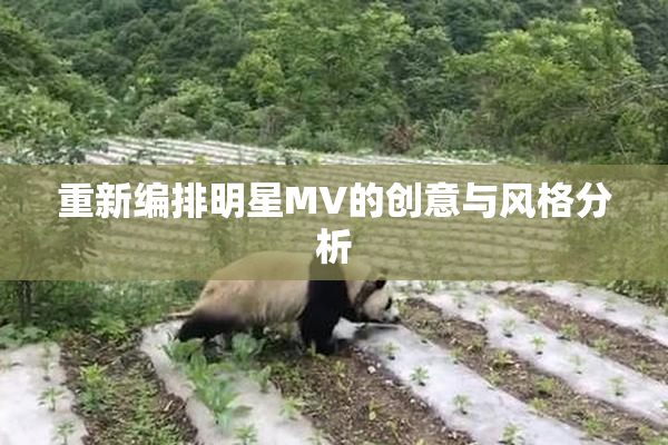 重新编排明星MV的创意与风格分析
