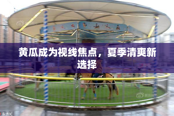 黄瓜成为视线焦点，夏季清爽新选择