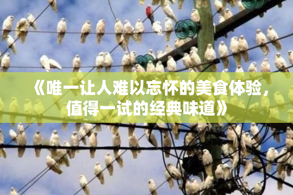 《唯一让人难以忘怀的美食体验，值得一试的经典味道》