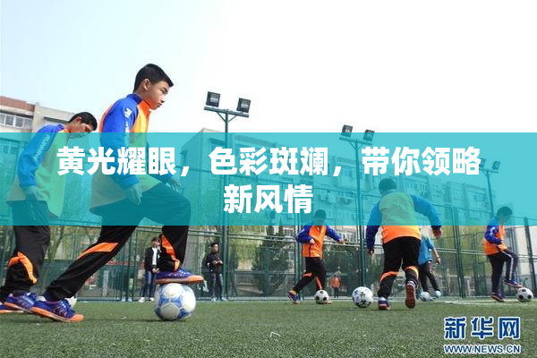 黄光耀眼，色彩斑斓，带你领略新风情