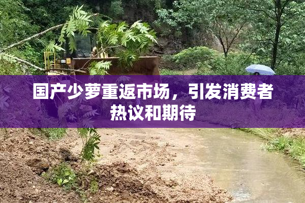 国产少萝重返市场，引发消费者热议和期待