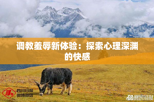 调教羞辱新体验：探索心理深渊的快感