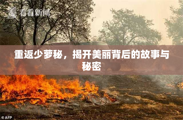 重返少萝秘，揭开美丽背后的故事与秘密