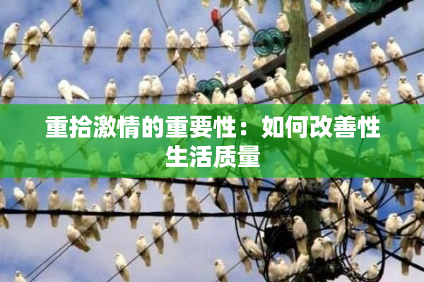 重拾激情的重要性：如何改善性生活质量