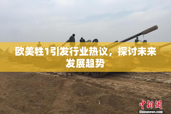 欧美牲1引发行业热议，探讨未来发展趋势