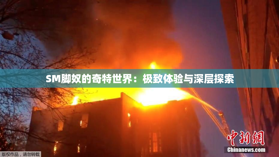 SM脚奴的奇特世界：极致体验与深层探索