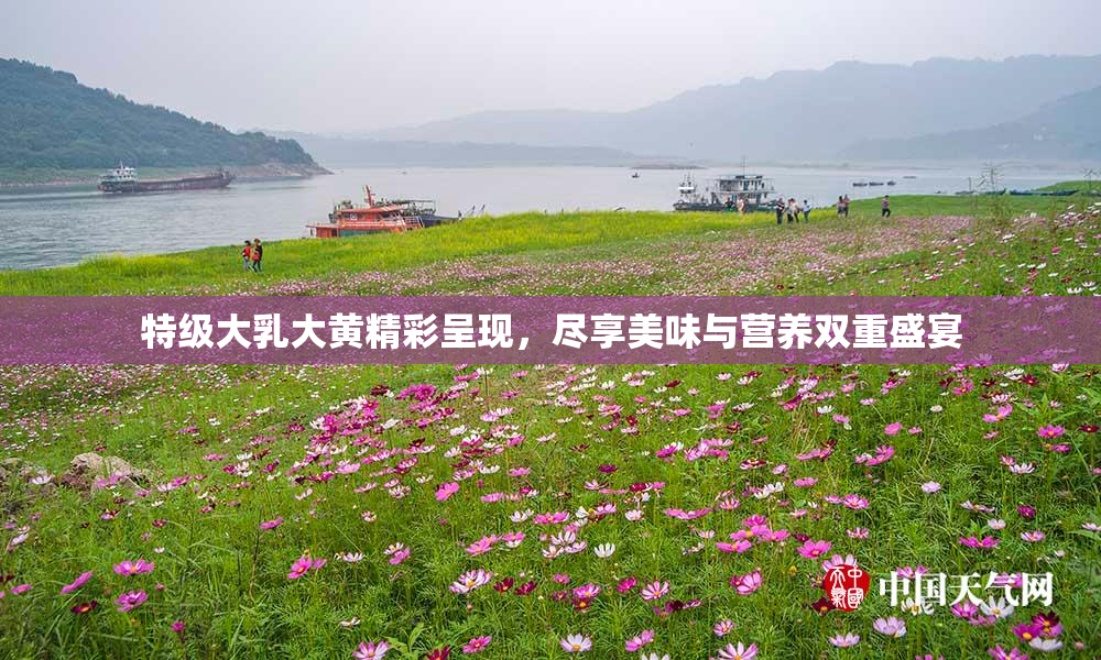 特级大乳大黄精彩呈现，尽享美味与营养双重盛宴